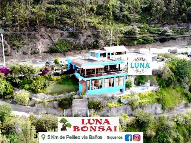 LUNA BONSAI Adventure PARK