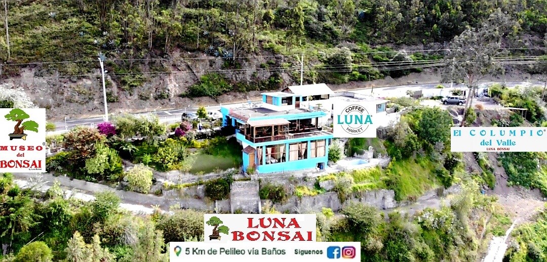 LUNA BONSAI Adventure PARK