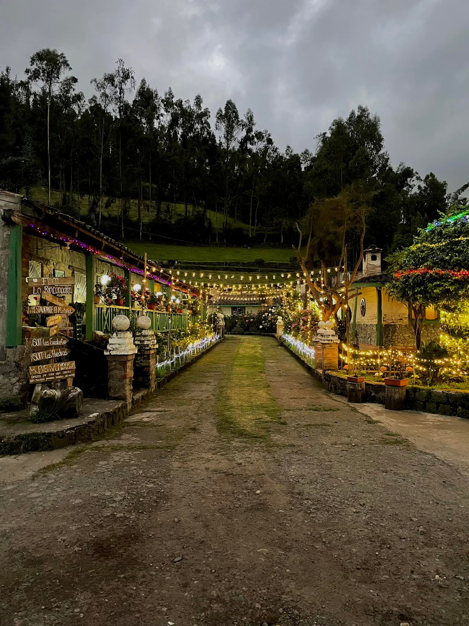 Finca La Rinconadita 🌳