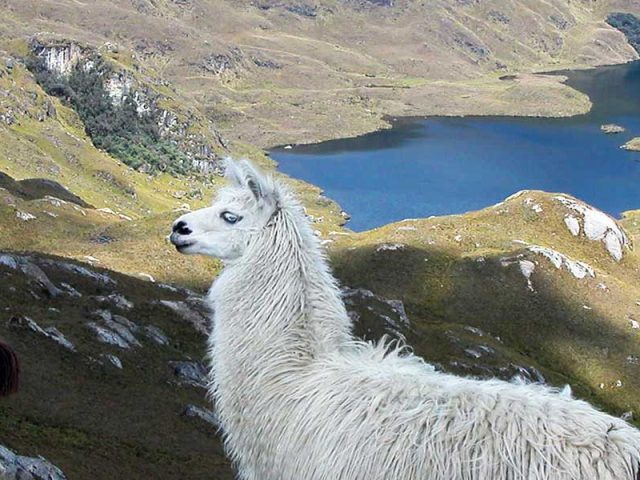 Parque Nacional Cajas