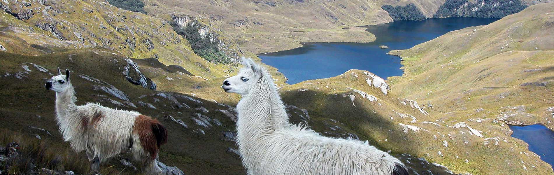 Parque Nacional Cajas