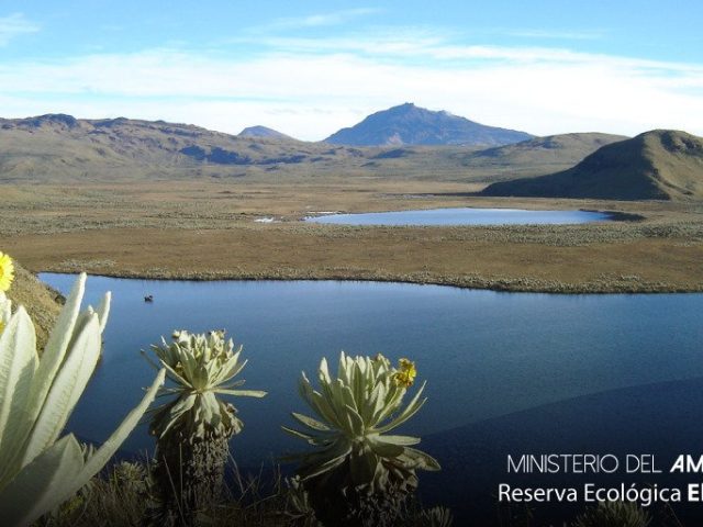Reserva Ecológica El Angel