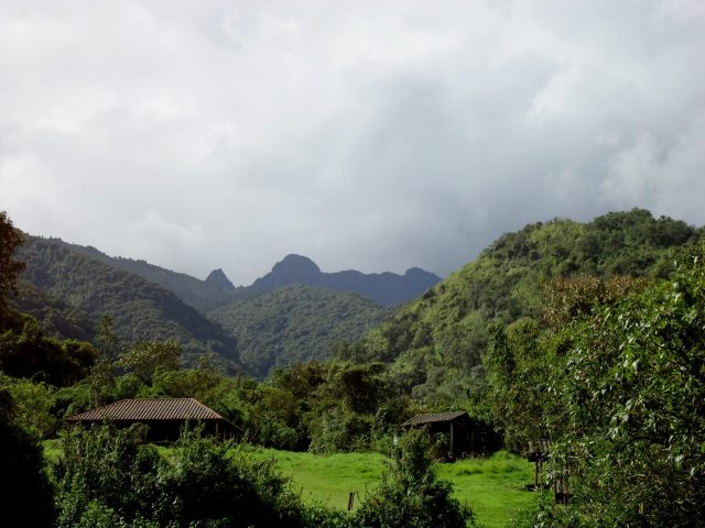 Refugio de Vida Silvestre Pasochoa