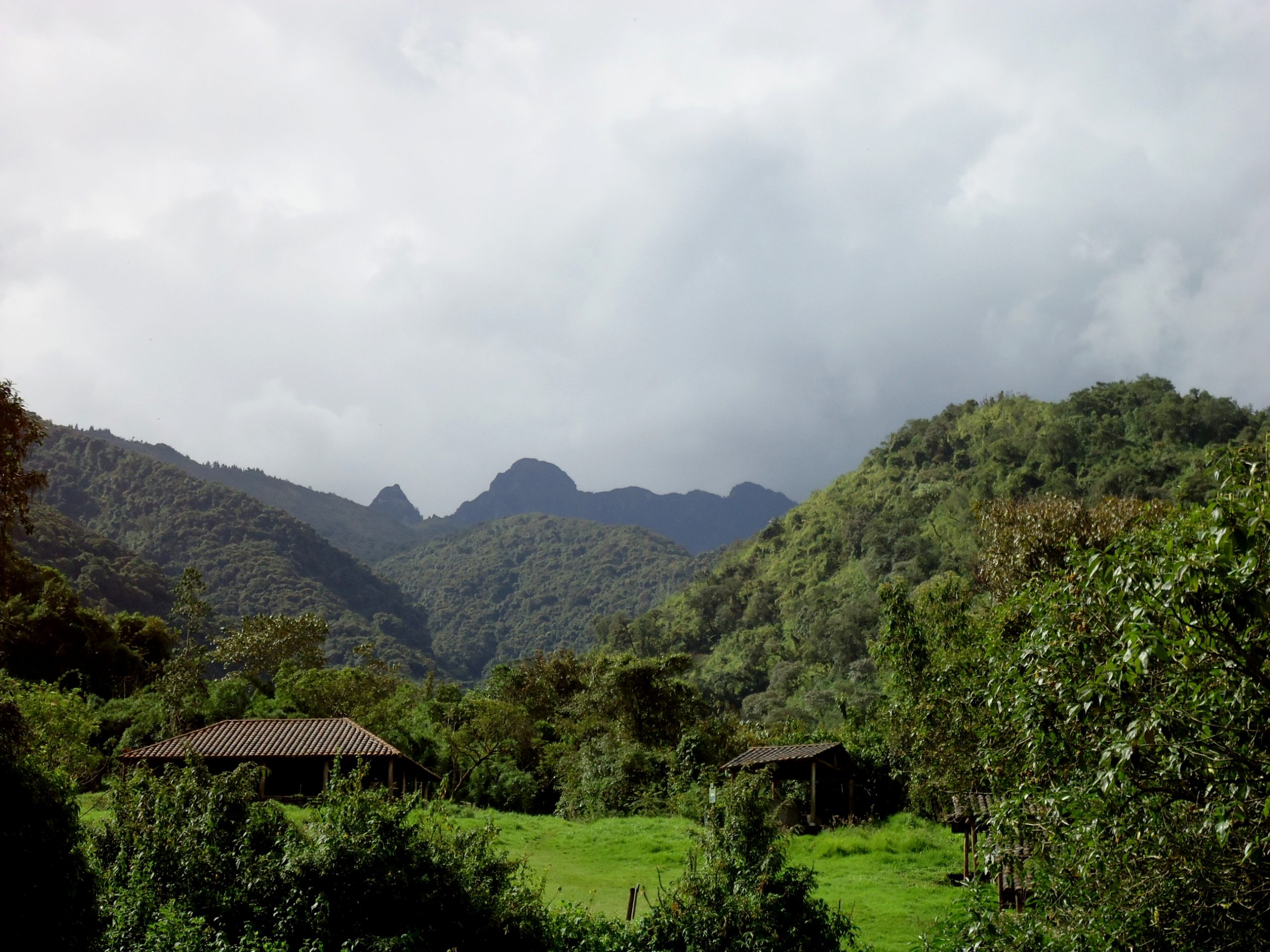 Refugio de Vida Silvestre Pasochoa