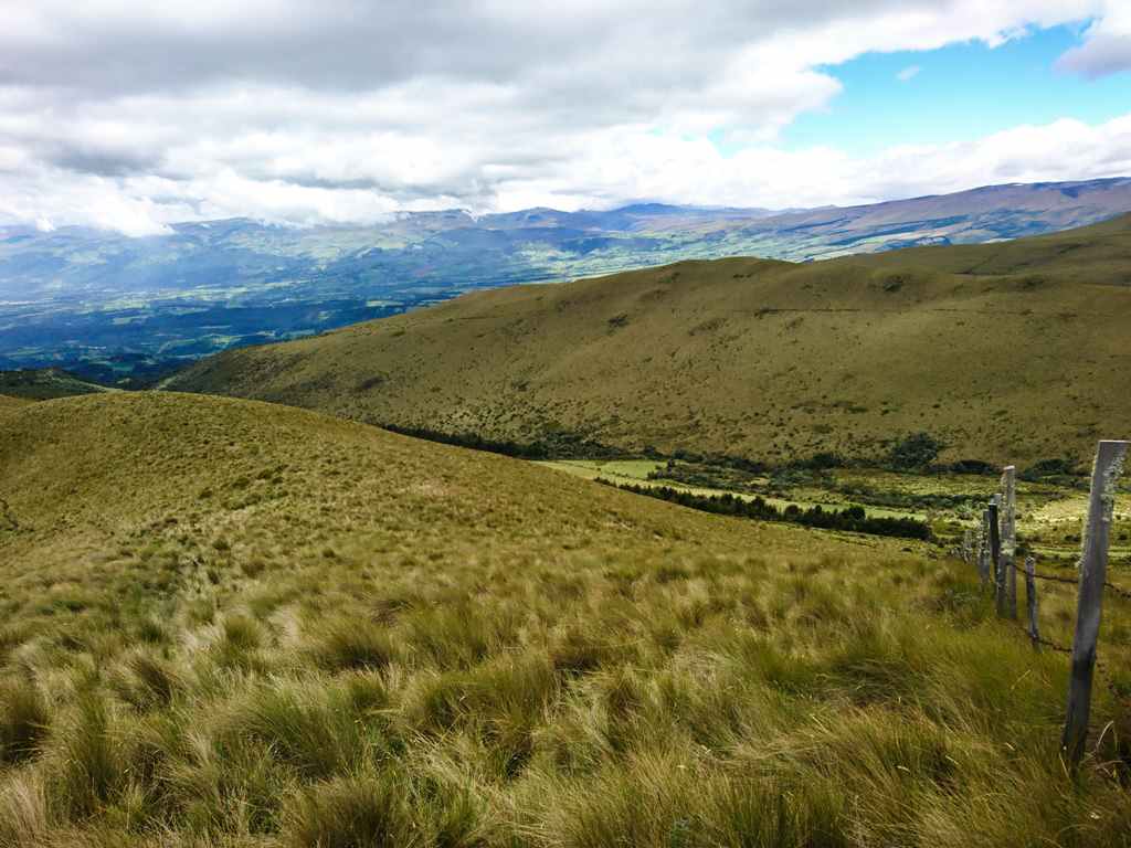 Refugio de Vida Silvestre Pasochoa