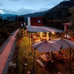 Escondite de las Margaritas