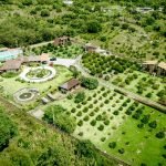 Patate Lodge