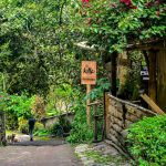 Ecofinca Maria Soledad