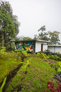 Cedro Amazon Lodge place picture